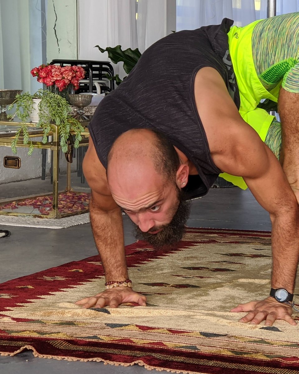 Felix VoxCor in a yoga arm balance on a rug